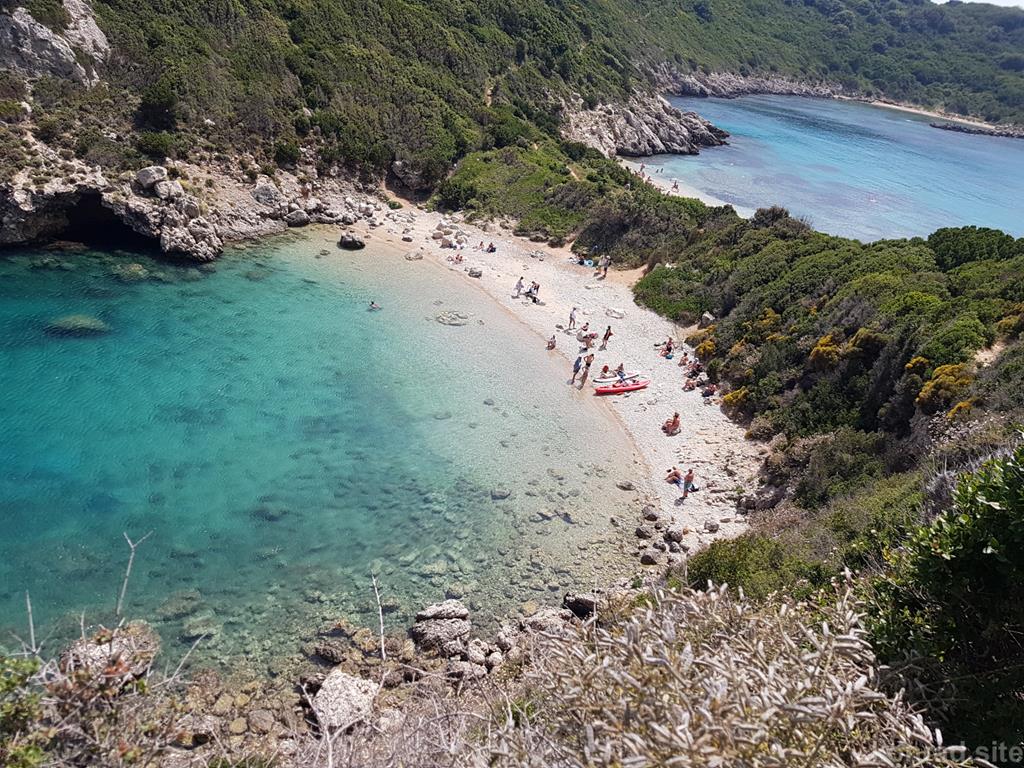 timoni