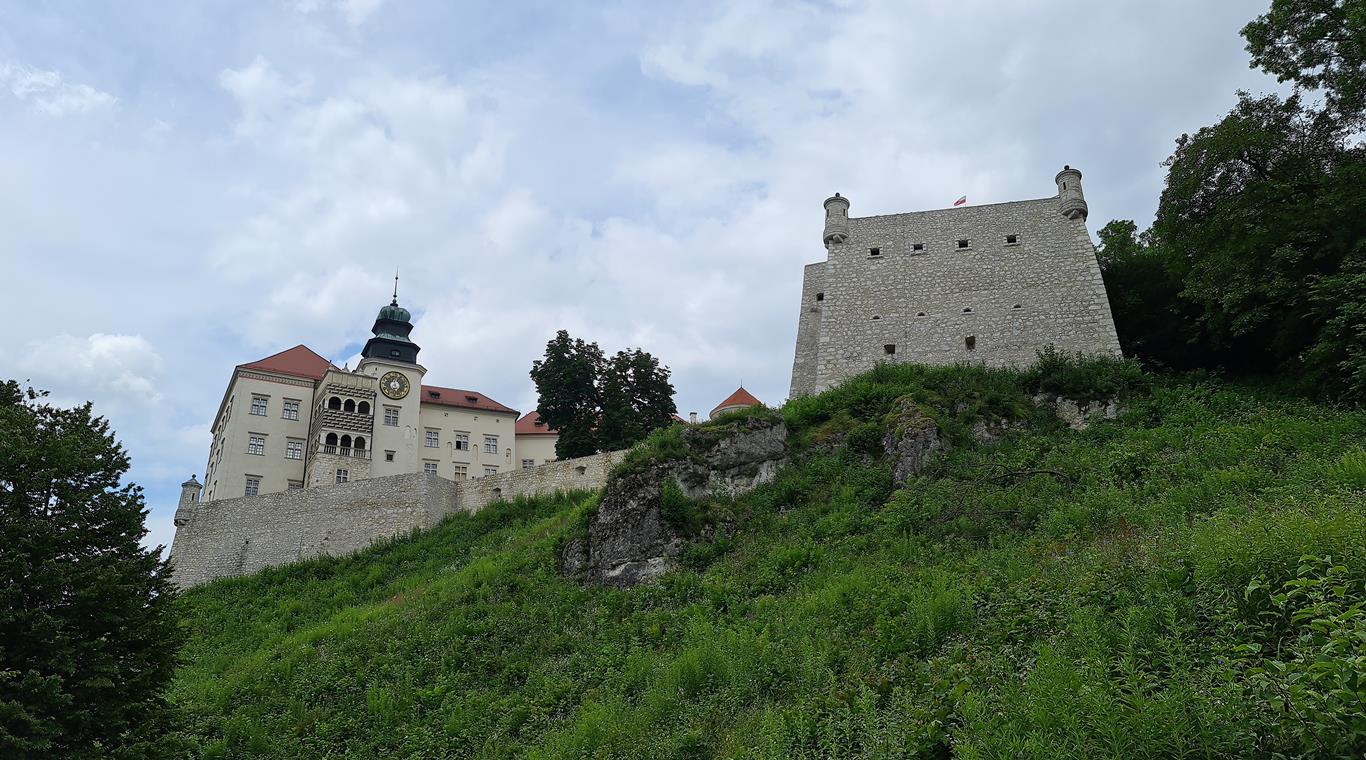 pieskowa skala