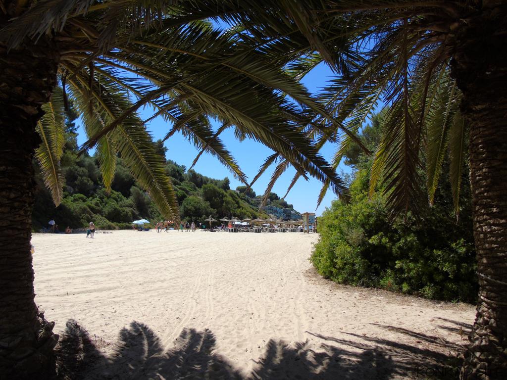 calaanguila